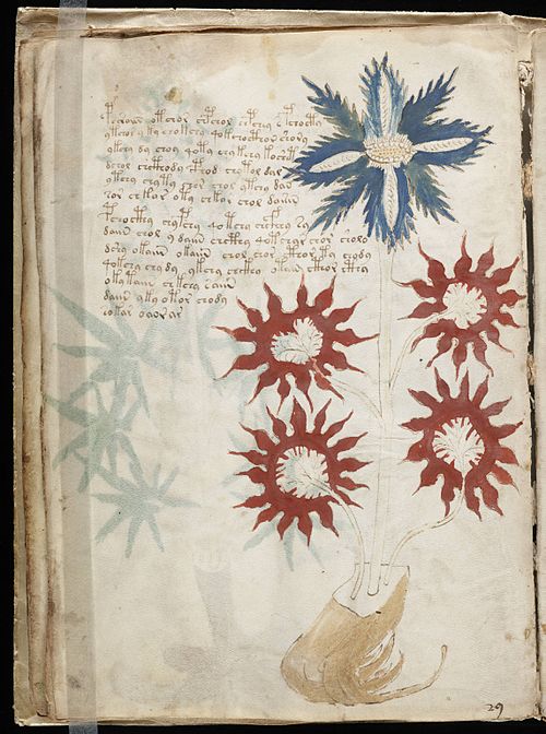 Page with crypic illustrations from the Voynich Manuscript
